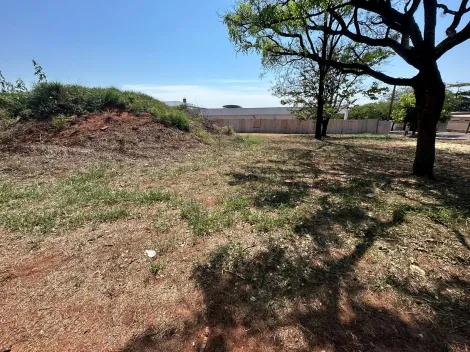 Comprar Terreno / &Aacute;rea em S&atilde;o Jos&eacute; do Rio Preto R$ 2.650.000,00 - Foto 8