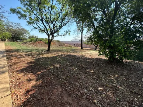 Comprar Terreno / &Aacute;rea em S&atilde;o Jos&eacute; do Rio Preto R$ 2.650.000,00 - Foto 9