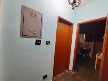 Alugar Casa / Padr&atilde;o em S&atilde;o Jos&eacute; do Rio Preto R$ 2.800,00 - Foto 9