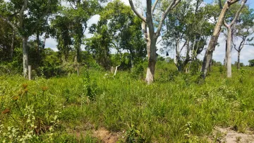 Comprar Rural / Fazenda em Pocon&eacute; R$ 9.000.000,00 - Foto 7