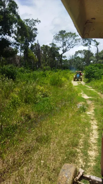 Comprar Rural / Fazenda em Pocon&eacute; R$ 9.000.000,00 - Foto 6