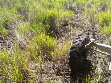 Comprar Rural / Fazenda em Pocon&eacute; R$ 9.000.000,00 - Foto 5