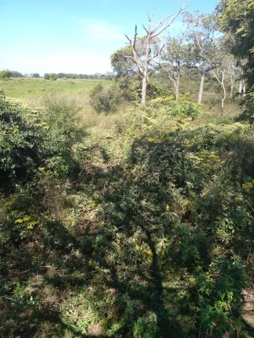 Comprar Rural / Fazenda em Pocon&eacute; R$ 9.000.000,00 - Foto 4