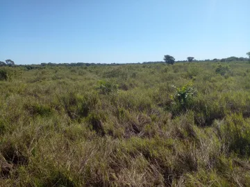 Rural / Fazenda em Pocon&eacute; 