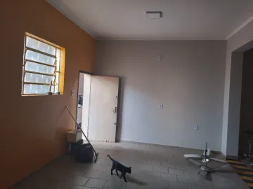 Comercial / Sal&atilde;o em S&atilde;o Jos&eacute; do Rio Preto 