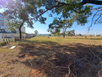 Terreno / &Aacute;rea em S&atilde;o Jos&eacute; do Rio Preto 