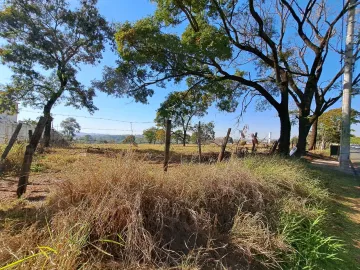 Comprar Terreno / &Aacute;rea em S&atilde;o Jos&eacute; do Rio Preto R$ 5.500.000,00 - Foto 4