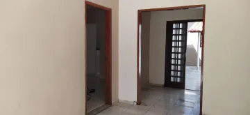 Alugar Casa / Padr&atilde;o em S&atilde;o Jos&eacute; do Rio Preto R$ 1.500,00 - Foto 10