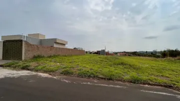 Comprar Terreno / Padr&atilde;o em S&atilde;o Jos&eacute; do Rio Preto R$ 140.000,00 - Foto 2