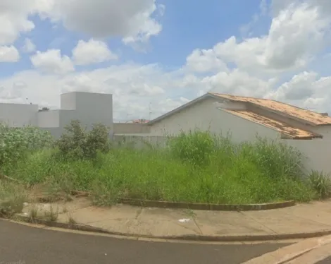 Terreno / Padr&atilde;o em S&atilde;o Jos&eacute; do Rio Preto 