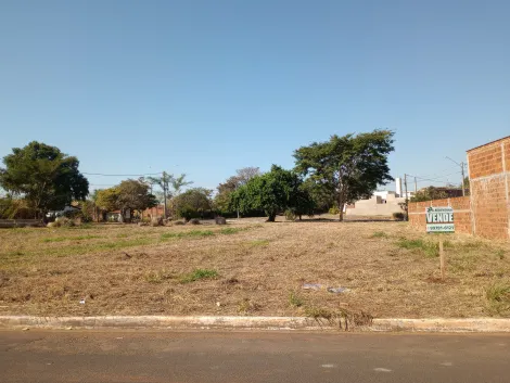 Terreno / Padr&atilde;o em Palestina 