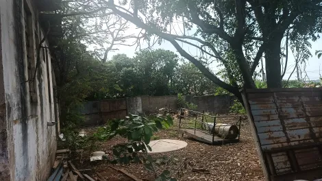 Comprar Terreno / Padr&atilde;o em S&atilde;o Jos&eacute; do Rio Preto R$ 800.000,00 - Foto 4