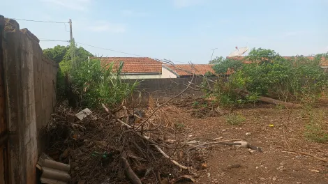 Comprar Terreno / Padr&atilde;o em S&atilde;o Jos&eacute; do Rio Preto R$ 800.000,00 - Foto 8