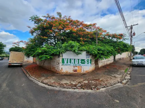 Terreno / Padr&atilde;o em S&atilde;o Jos&eacute; do Rio Preto 