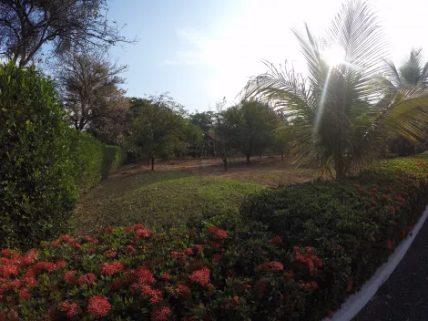 Comprar Rural / Ch&aacute;cara em S&atilde;o Jos&eacute; do Rio Preto R$ 900.000,00 - Foto 8