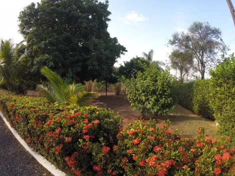 Comprar Rural / Ch&aacute;cara em S&atilde;o Jos&eacute; do Rio Preto R$ 900.000,00 - Foto 9