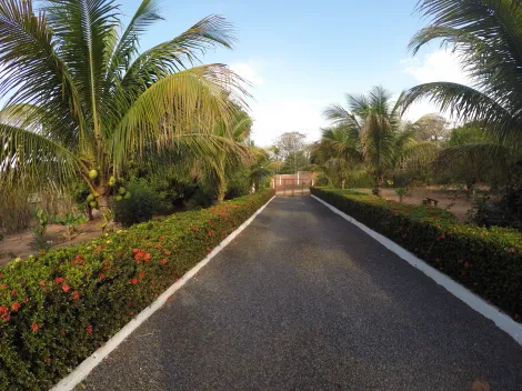 Comprar Rural / Ch&aacute;cara em S&atilde;o Jos&eacute; do Rio Preto R$ 900.000,00 - Foto 11