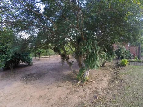 Comprar Rural / Ch&aacute;cara em S&atilde;o Jos&eacute; do Rio Preto R$ 900.000,00 - Foto 14