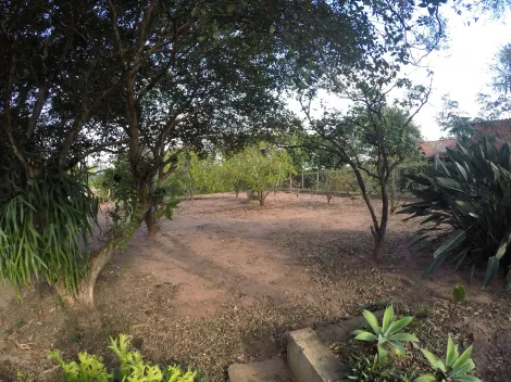 Comprar Rural / Ch&aacute;cara em S&atilde;o Jos&eacute; do Rio Preto R$ 900.000,00 - Foto 15