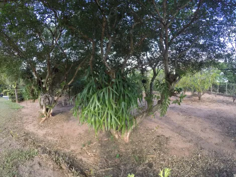 Comprar Rural / Ch&aacute;cara em S&atilde;o Jos&eacute; do Rio Preto R$ 900.000,00 - Foto 16