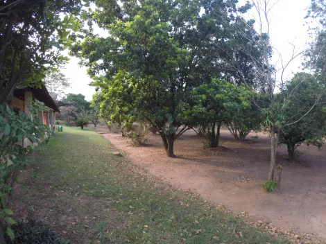 Comprar Rural / Ch&aacute;cara em S&atilde;o Jos&eacute; do Rio Preto R$ 900.000,00 - Foto 17