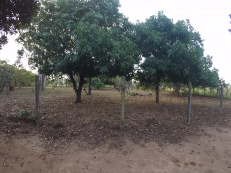 Comprar Rural / Ch&aacute;cara em S&atilde;o Jos&eacute; do Rio Preto R$ 900.000,00 - Foto 19