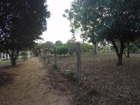 Comprar Rural / Ch&aacute;cara em S&atilde;o Jos&eacute; do Rio Preto R$ 900.000,00 - Foto 20