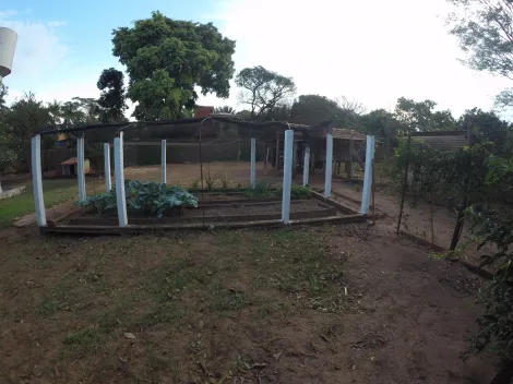 Comprar Rural / Ch&aacute;cara em S&atilde;o Jos&eacute; do Rio Preto R$ 900.000,00 - Foto 21