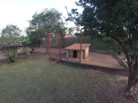 Comprar Rural / Ch&aacute;cara em S&atilde;o Jos&eacute; do Rio Preto R$ 900.000,00 - Foto 23