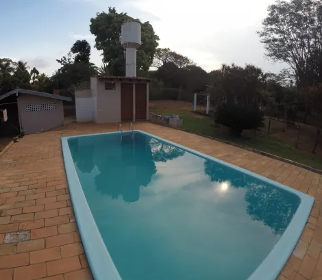 Comprar Rural / Ch&aacute;cara em S&atilde;o Jos&eacute; do Rio Preto R$ 900.000,00 - Foto 24