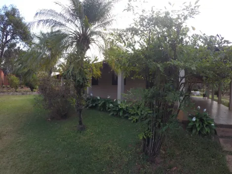 Rural / Ch&aacute;cara em S&atilde;o Jos&eacute; do Rio Preto 