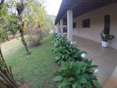 Comprar Rural / Ch&aacute;cara em S&atilde;o Jos&eacute; do Rio Preto R$ 900.000,00 - Foto 2