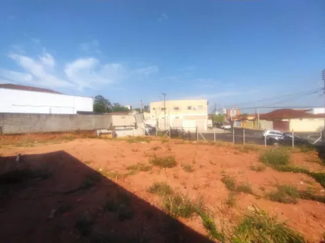 Alugar Terreno / Padr&atilde;o em S&atilde;o Jos&eacute; do Rio Preto R$ 4.000,00 - Foto 5