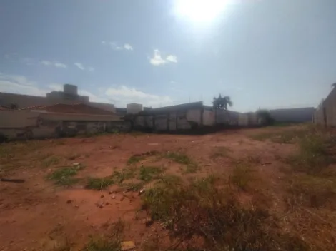 Alugar Terreno / Padr&atilde;o em S&atilde;o Jos&eacute; do Rio Preto R$ 4.000,00 - Foto 6