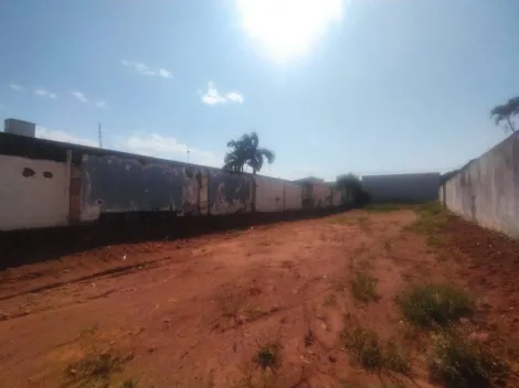 Alugar Terreno / Padr&atilde;o em S&atilde;o Jos&eacute; do Rio Preto R$ 4.000,00 - Foto 7