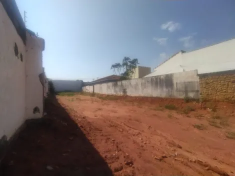 Alugar Terreno / Padr&atilde;o em S&atilde;o Jos&eacute; do Rio Preto R$ 4.000,00 - Foto 8