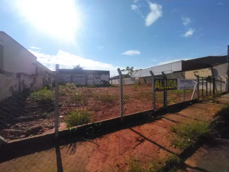 Terreno / Padr&atilde;o em S&atilde;o Jos&eacute; do Rio Preto 