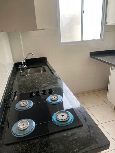Alugar Apartamento / Padr&atilde;o em S&atilde;o Jos&eacute; do Rio Preto R$ 1.100,00 - Foto 10