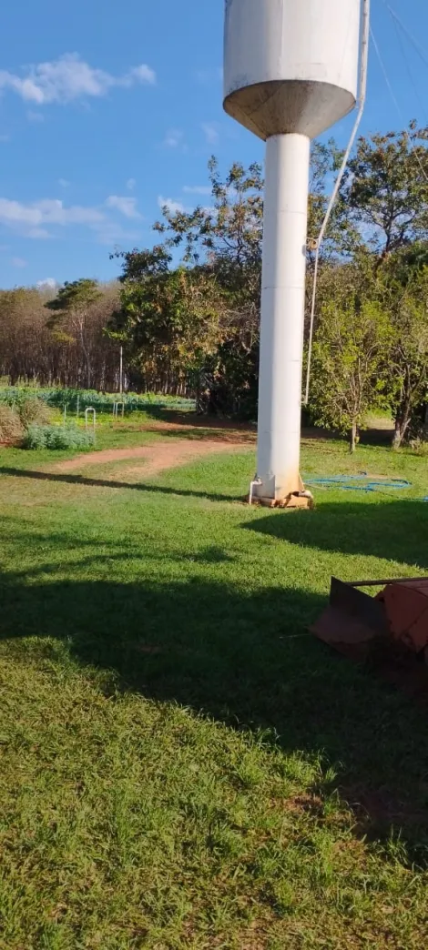Comprar Rural / S&iacute;tio em Bady Bassitt R$ 800.000,00 - Foto 3