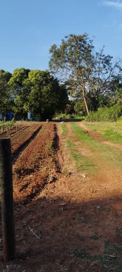 Comprar Rural / S&iacute;tio em Bady Bassitt R$ 800.000,00 - Foto 11