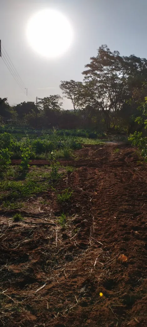 Comprar Rural / S&iacute;tio em Bady Bassitt R$ 800.000,00 - Foto 16