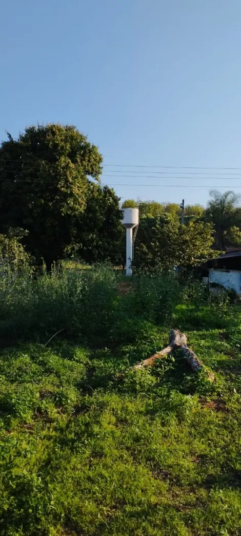 Comprar Rural / S&iacute;tio em Bady Bassitt R$ 800.000,00 - Foto 20