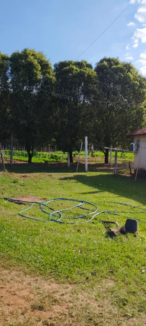 Comprar Rural / S&iacute;tio em Bady Bassitt R$ 800.000,00 - Foto 21