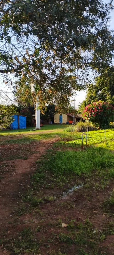Comprar Rural / S&iacute;tio em Bady Bassitt R$ 800.000,00 - Foto 22