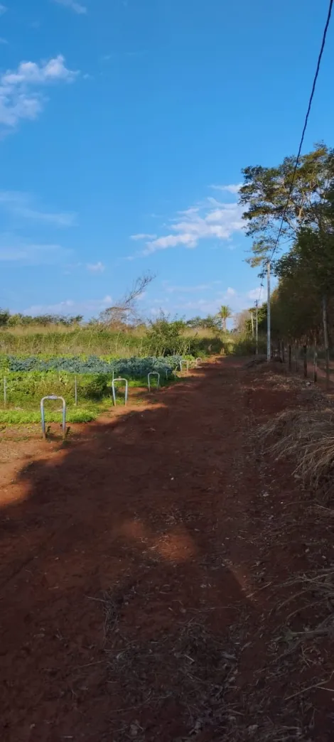 Comprar Rural / S&iacute;tio em Bady Bassitt R$ 800.000,00 - Foto 23