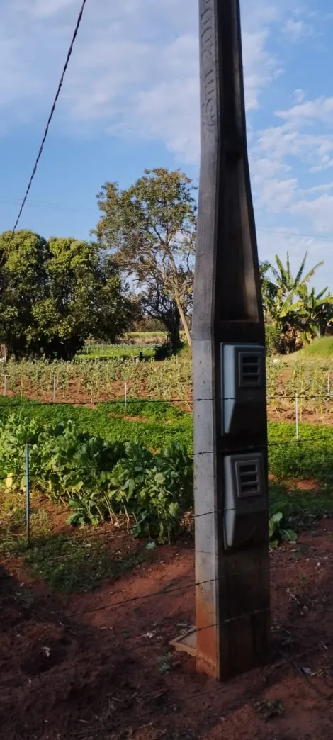 Comprar Rural / S&iacute;tio em Bady Bassitt R$ 800.000,00 - Foto 24