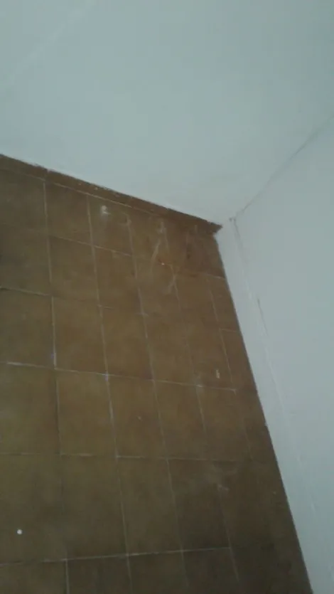 Alugar Casa / Padr&atilde;o em S&atilde;o Jos&eacute; do Rio Preto R$ 1.200,00 - Foto 24