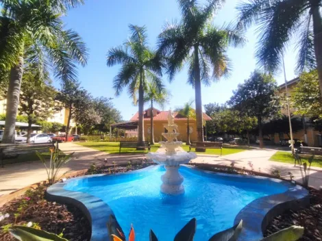 Alugar Apartamento / Padr&atilde;o em S&atilde;o Jos&eacute; do Rio Preto. apenas R$ 700,00