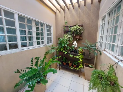 Comprar Casa / Padr&atilde;o em S&atilde;o Jos&eacute; do Rio Preto R$ 600.000,00 - Foto 3
