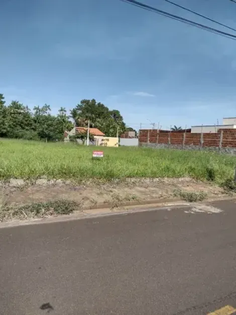 Alugar Terreno / Padr&atilde;o em S&atilde;o Jos&eacute; do Rio Preto. apenas R$ 110.000,00